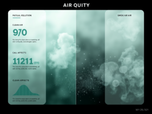 Air Quality